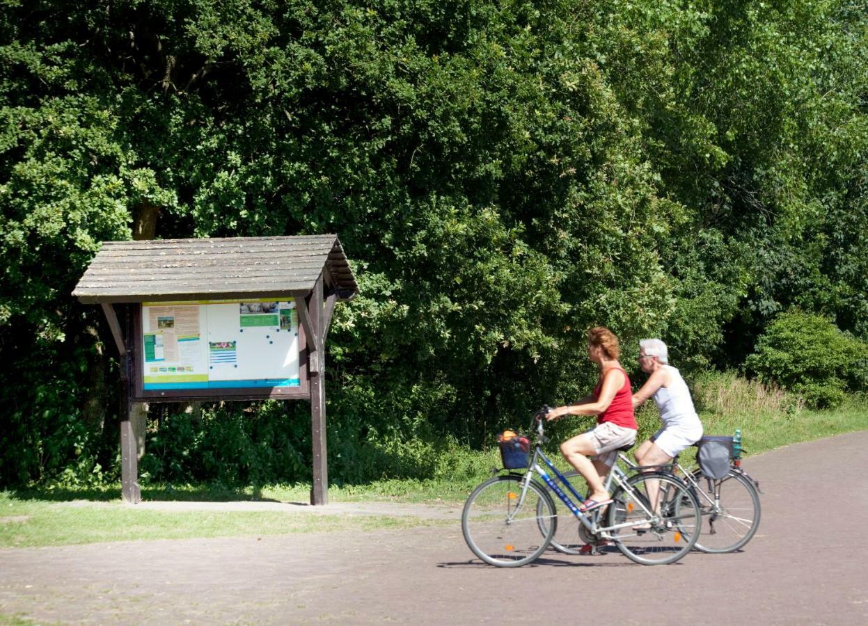 Appartementen – Bungalowpark Mooyeveld – Uniek gelegen in de duinen! Egmond-Binnen Exterior foto